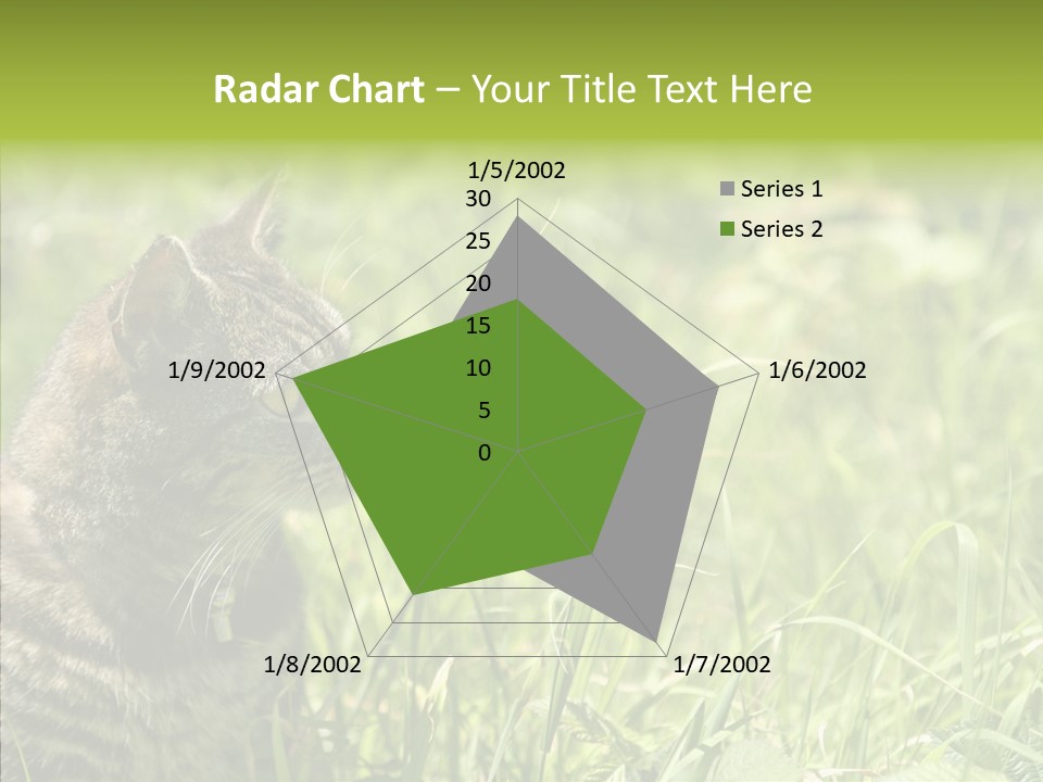 Kitten Garden Summer PowerPoint Template