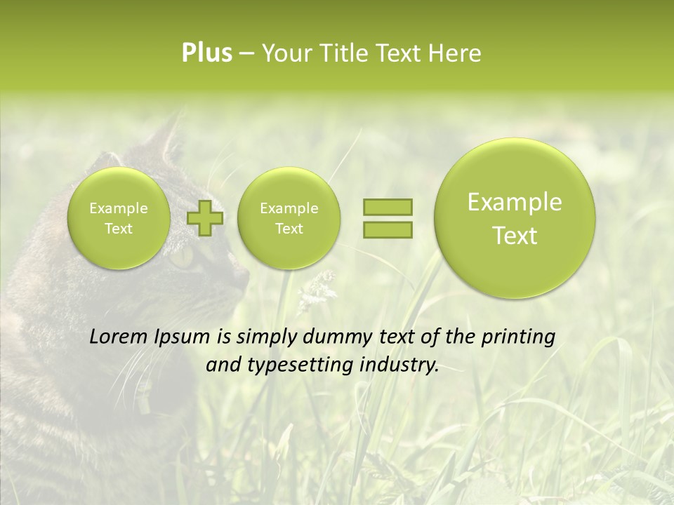 Kitten Garden Summer PowerPoint Template
