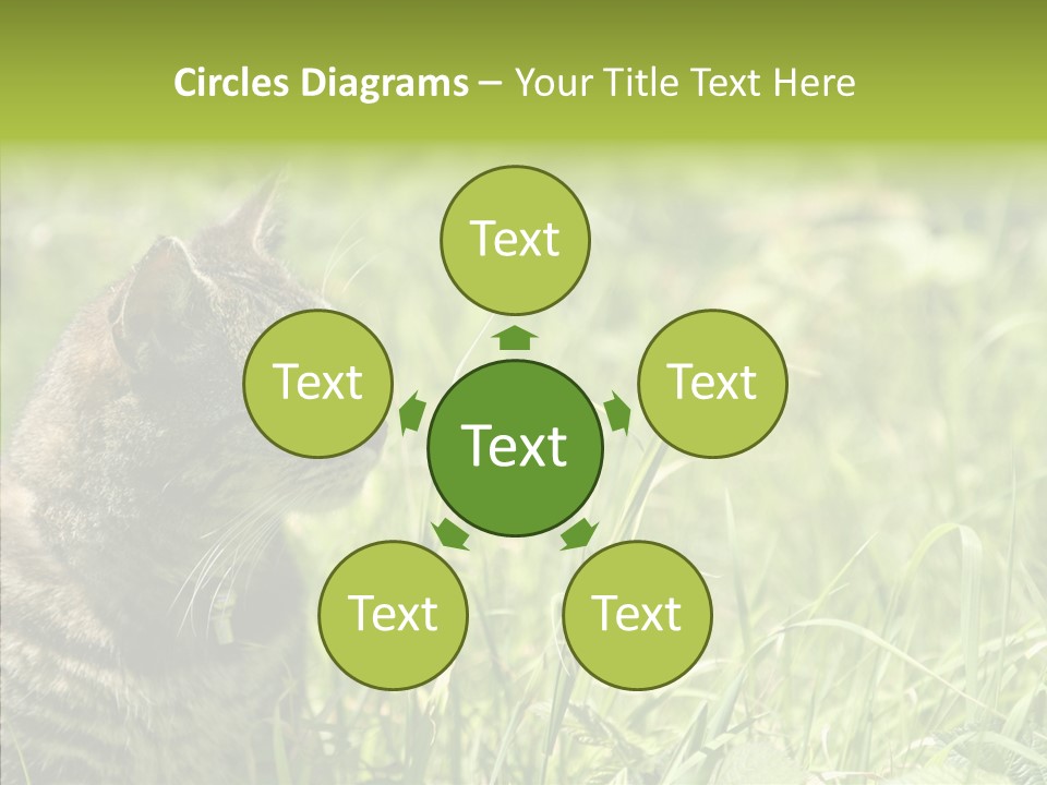 Kitten Garden Summer PowerPoint Template