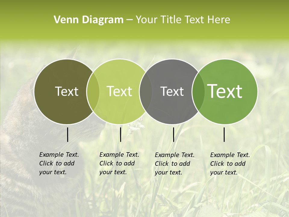 Kitten Garden Summer PowerPoint Template