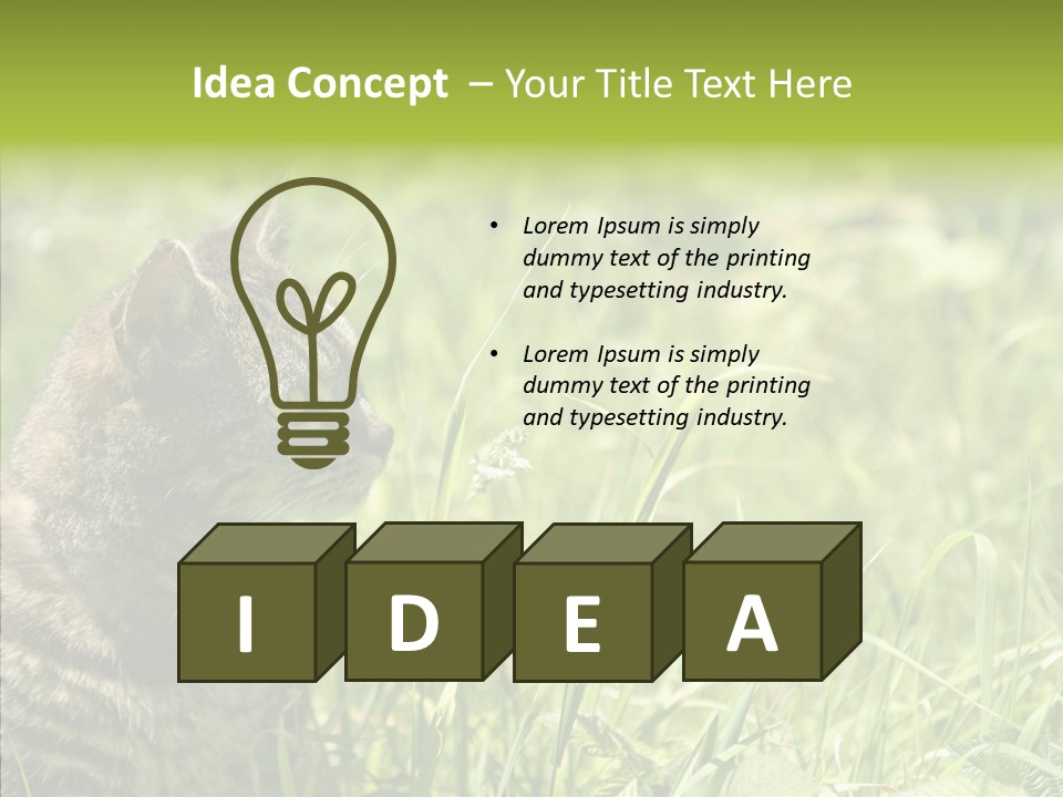 Kitten Garden Summer PowerPoint Template