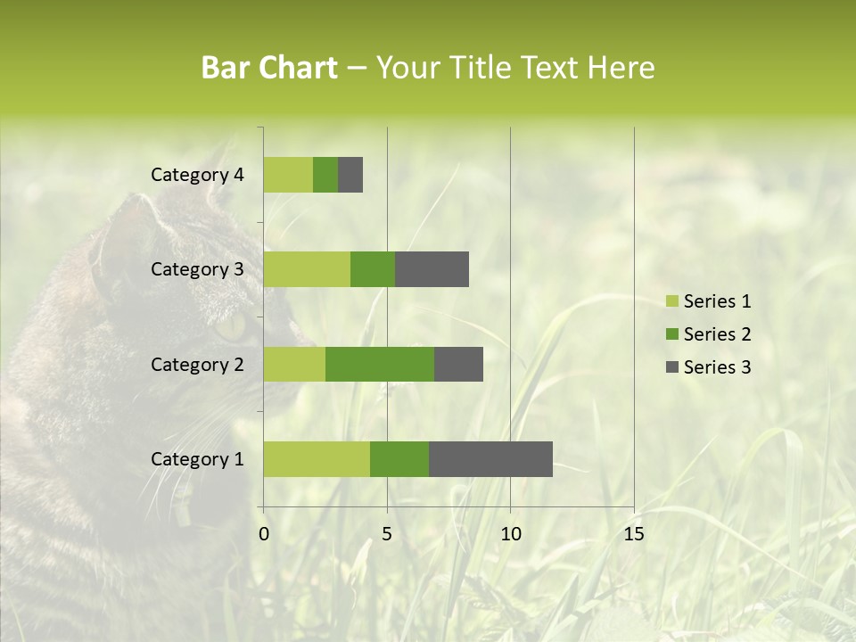 Kitten Garden Summer PowerPoint Template