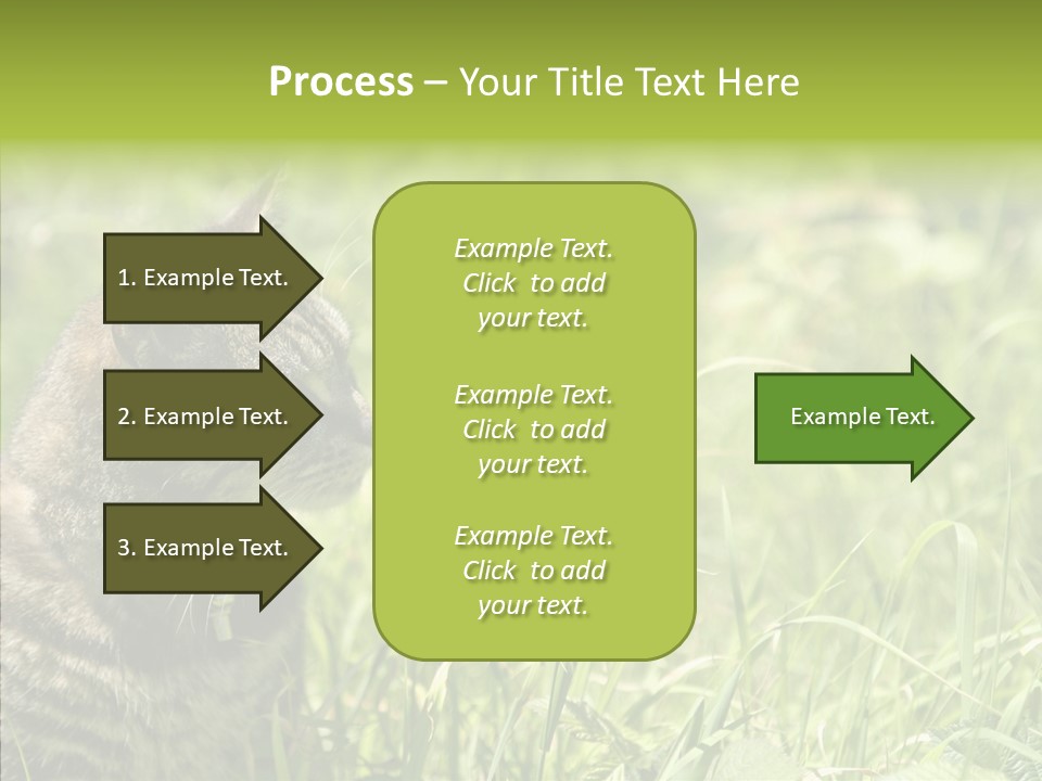 Kitten Garden Summer PowerPoint Template