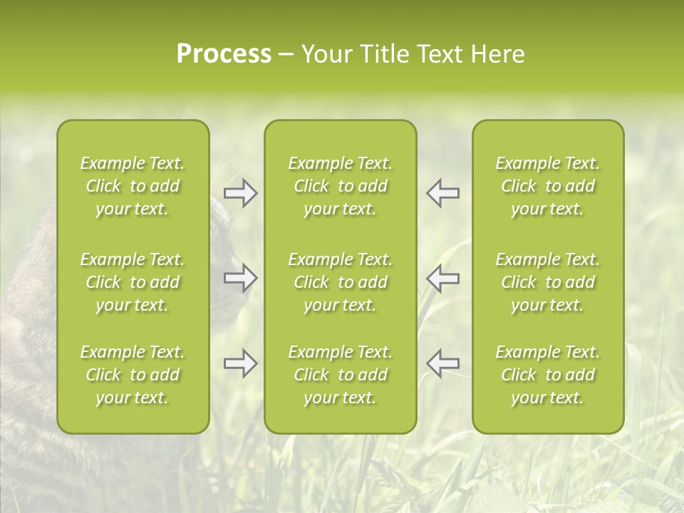 Kitten Garden Summer PowerPoint Template