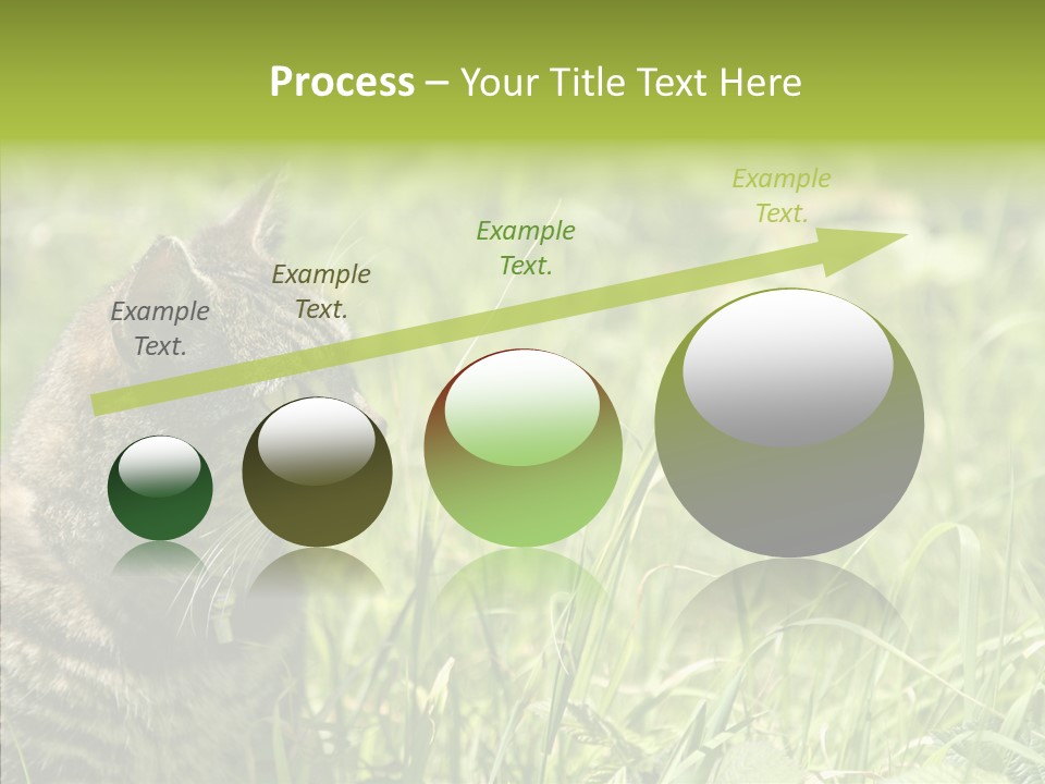 Kitten Garden Summer PowerPoint Template