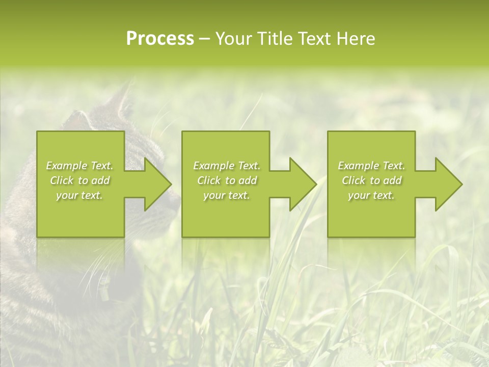 Kitten Garden Summer PowerPoint Template