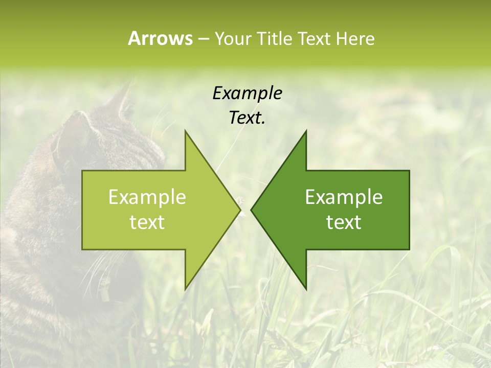 Kitten Garden Summer PowerPoint Template