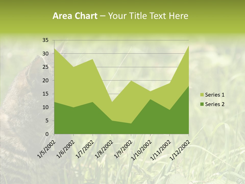 Kitten Garden Summer PowerPoint Template