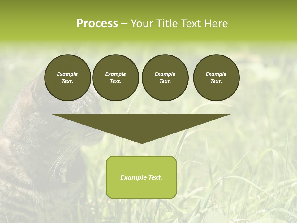 Kitten Garden Summer PowerPoint Template