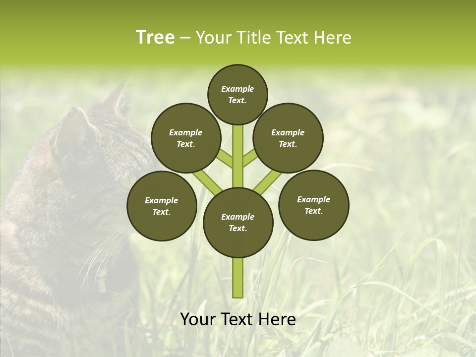 Kitten Garden Summer PowerPoint Template