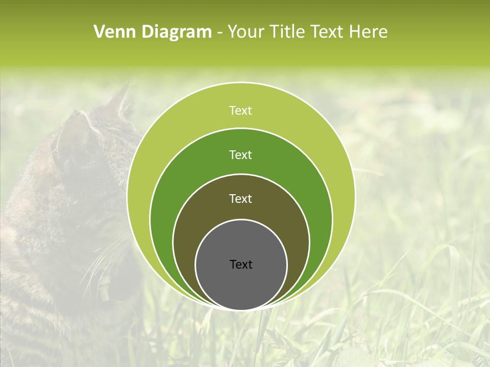 Kitten Garden Summer PowerPoint Template