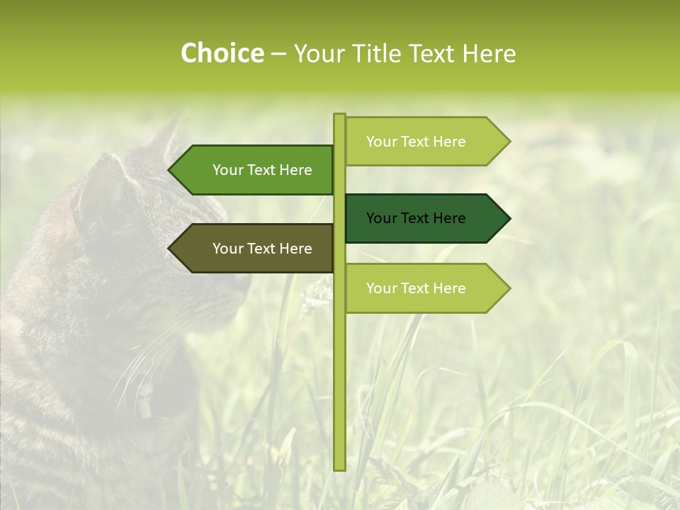 Kitten Garden Summer PowerPoint Template