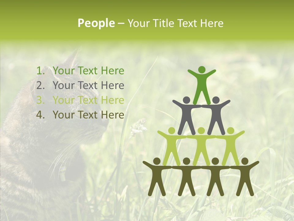 Kitten Garden Summer PowerPoint Template