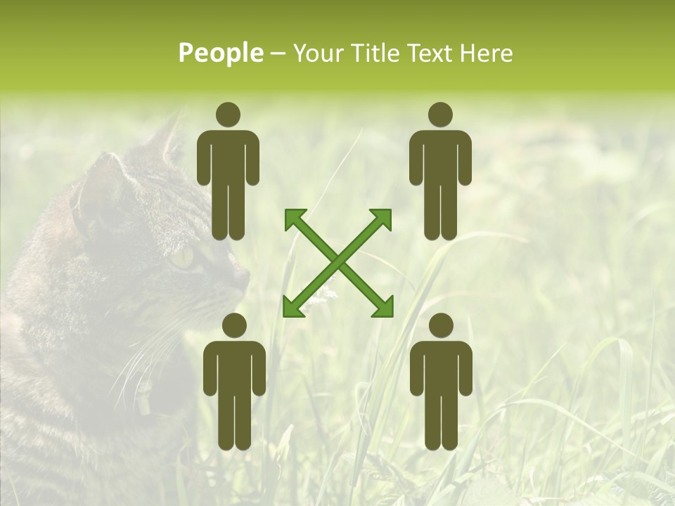 Kitten Garden Summer PowerPoint Template