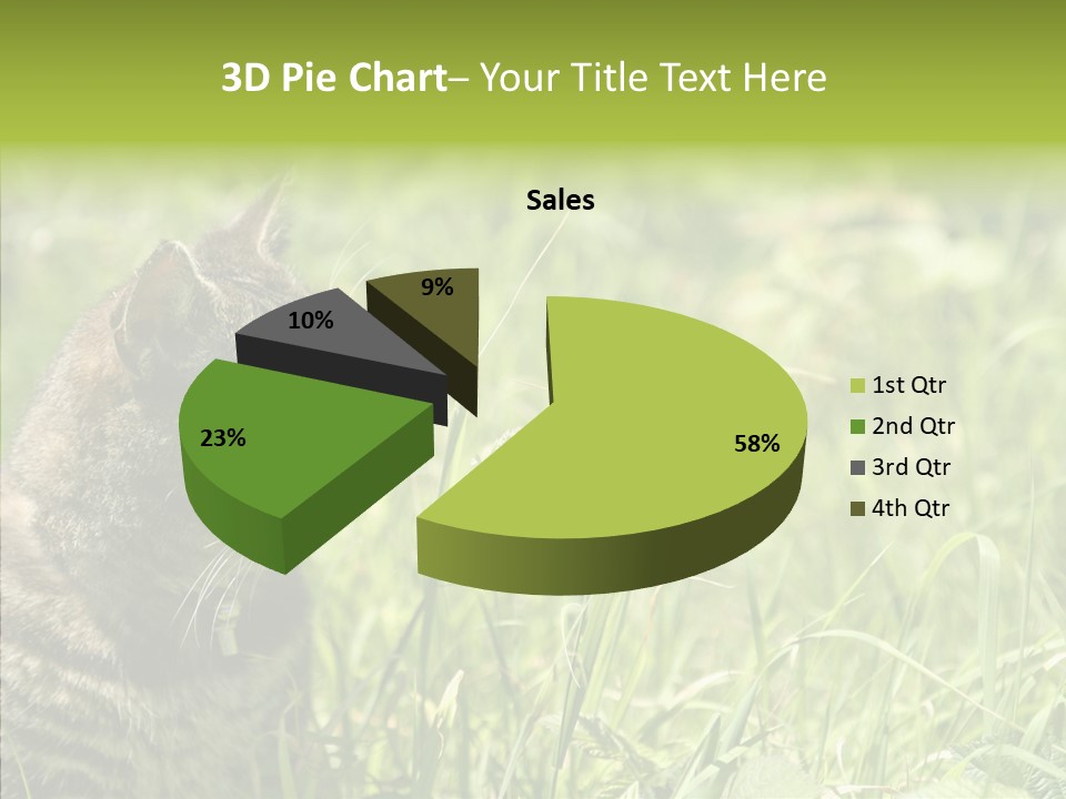 Kitten Garden Summer PowerPoint Template