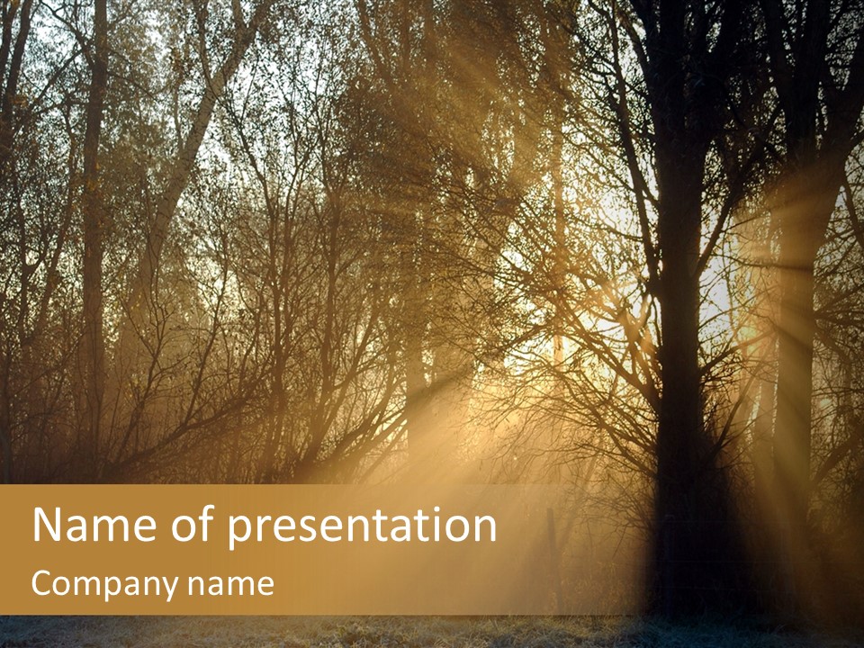Daybreak Glade Enticing PowerPoint Template
