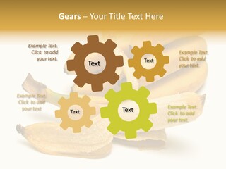 Tropical Vitamin Shadow PowerPoint Template