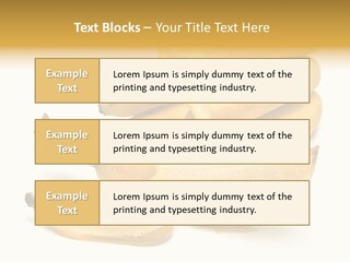 Tropical Vitamin Shadow PowerPoint Template
