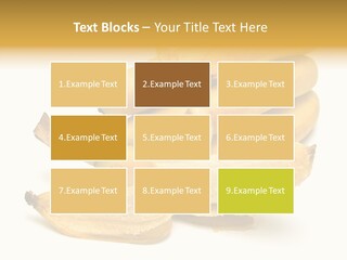 Tropical Vitamin Shadow PowerPoint Template