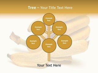 Tropical Vitamin Shadow PowerPoint Template