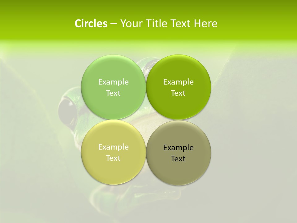 Boyfriend Toad Peeking PowerPoint Template