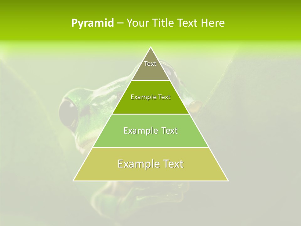 Boyfriend Toad Peeking PowerPoint Template