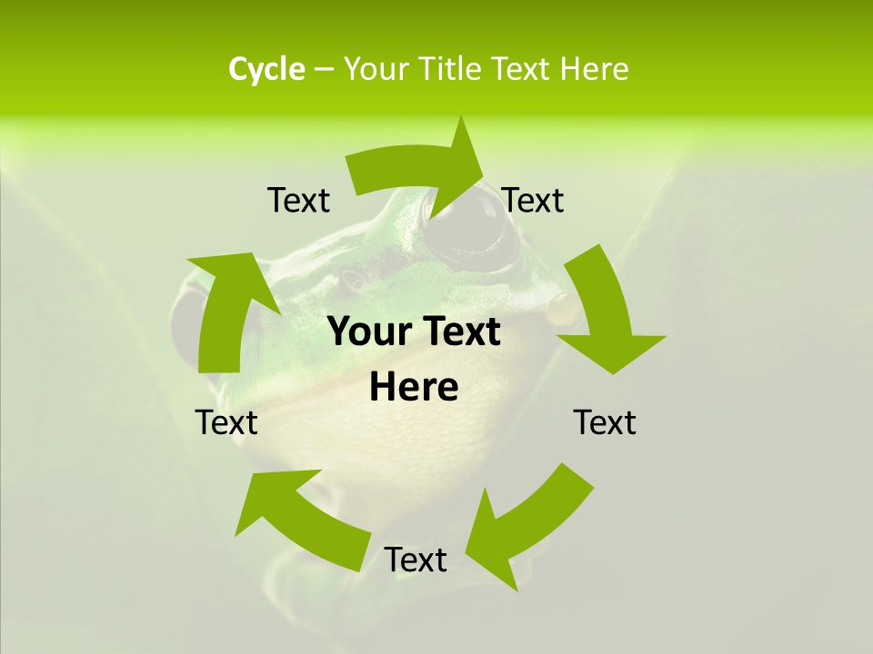 Boyfriend Toad Peeking PowerPoint Template