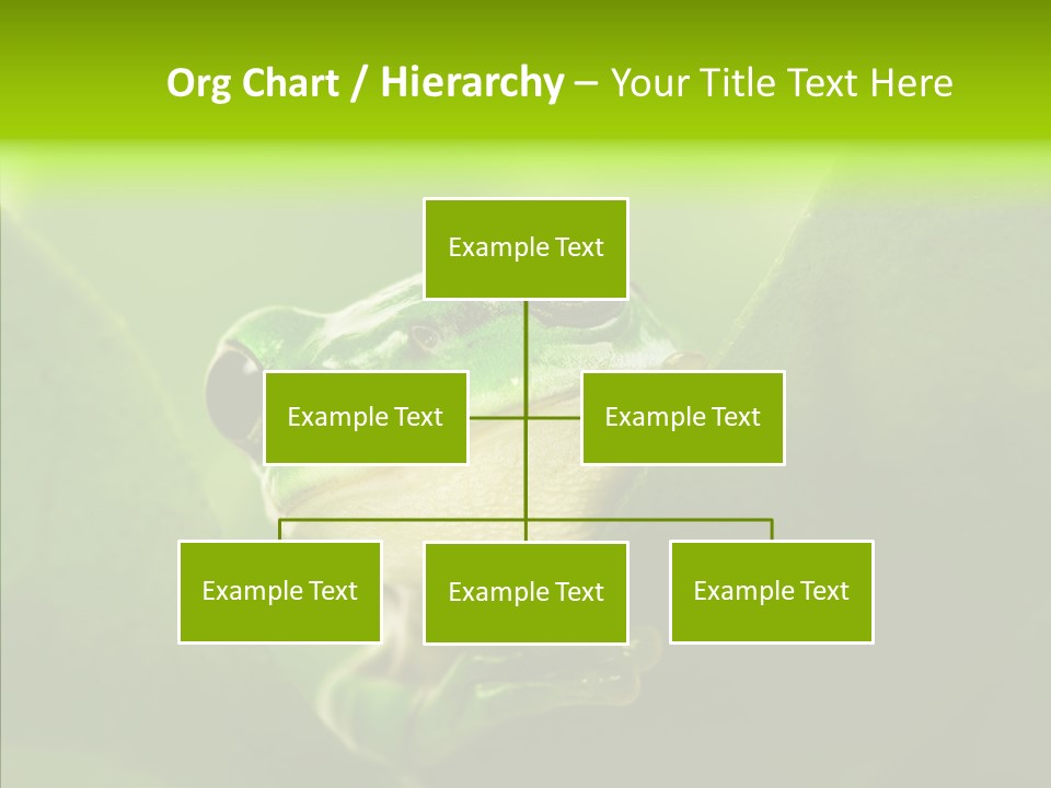 Boyfriend Toad Peeking PowerPoint Template
