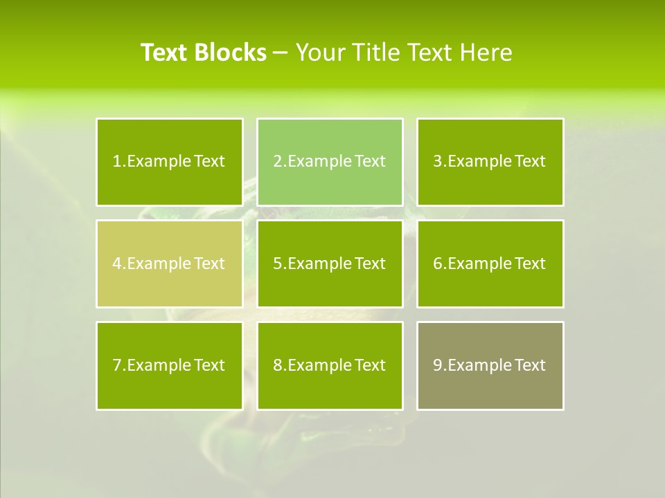 Boyfriend Toad Peeking PowerPoint Template