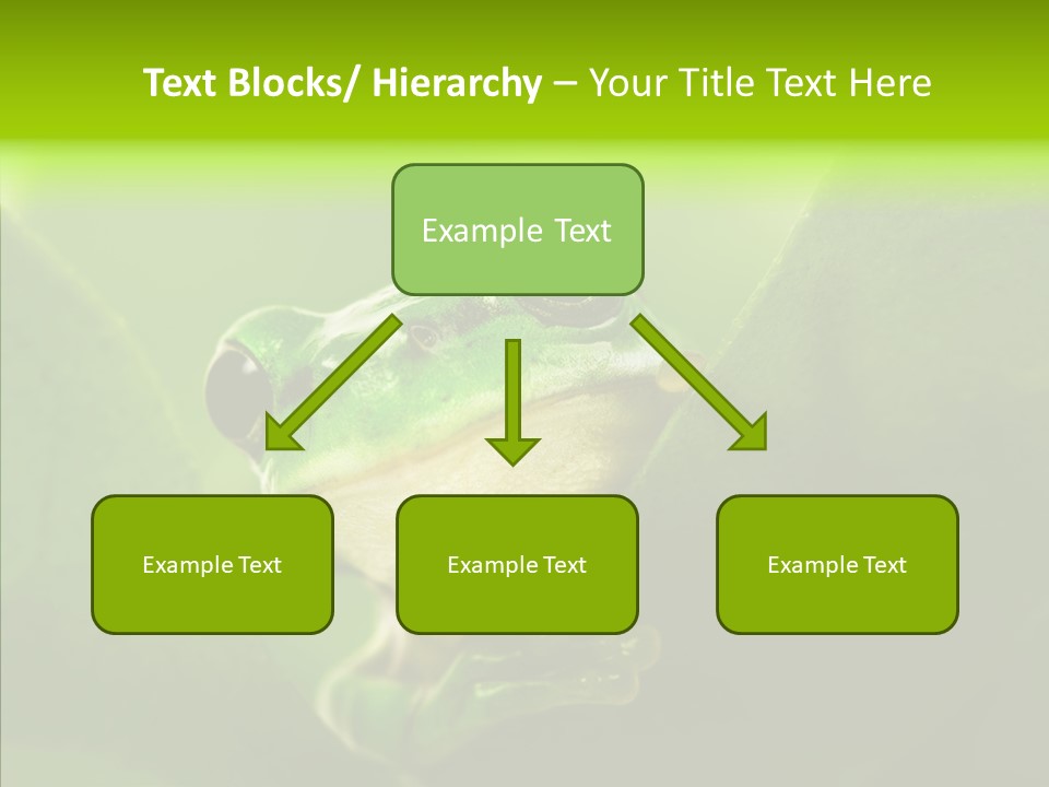 Boyfriend Toad Peeking PowerPoint Template