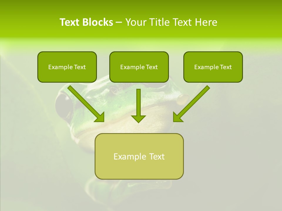 Boyfriend Toad Peeking PowerPoint Template