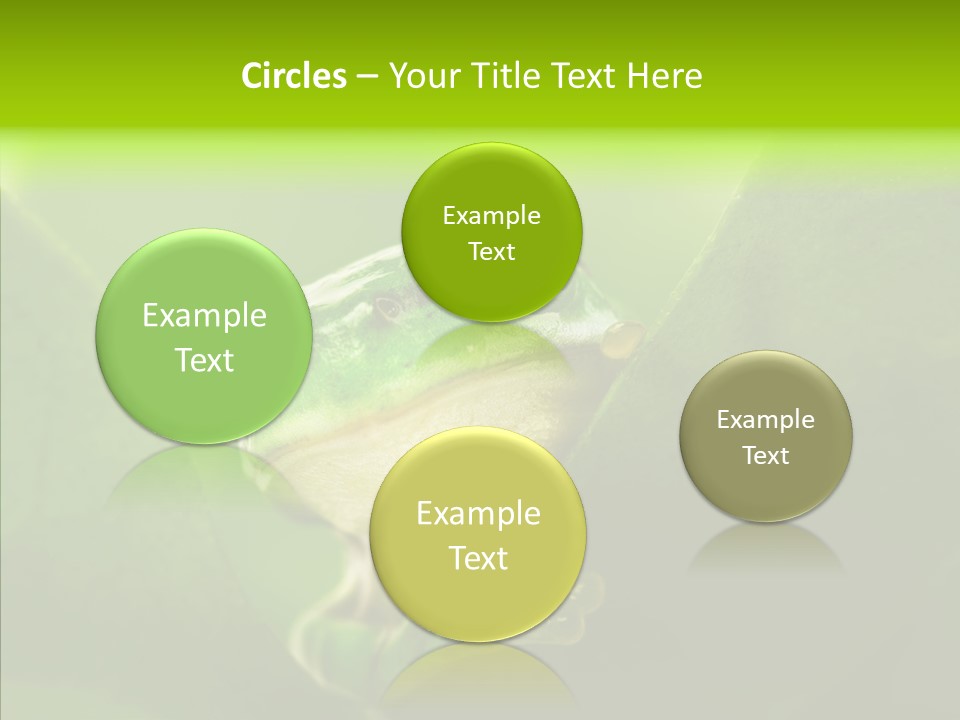 Boyfriend Toad Peeking PowerPoint Template