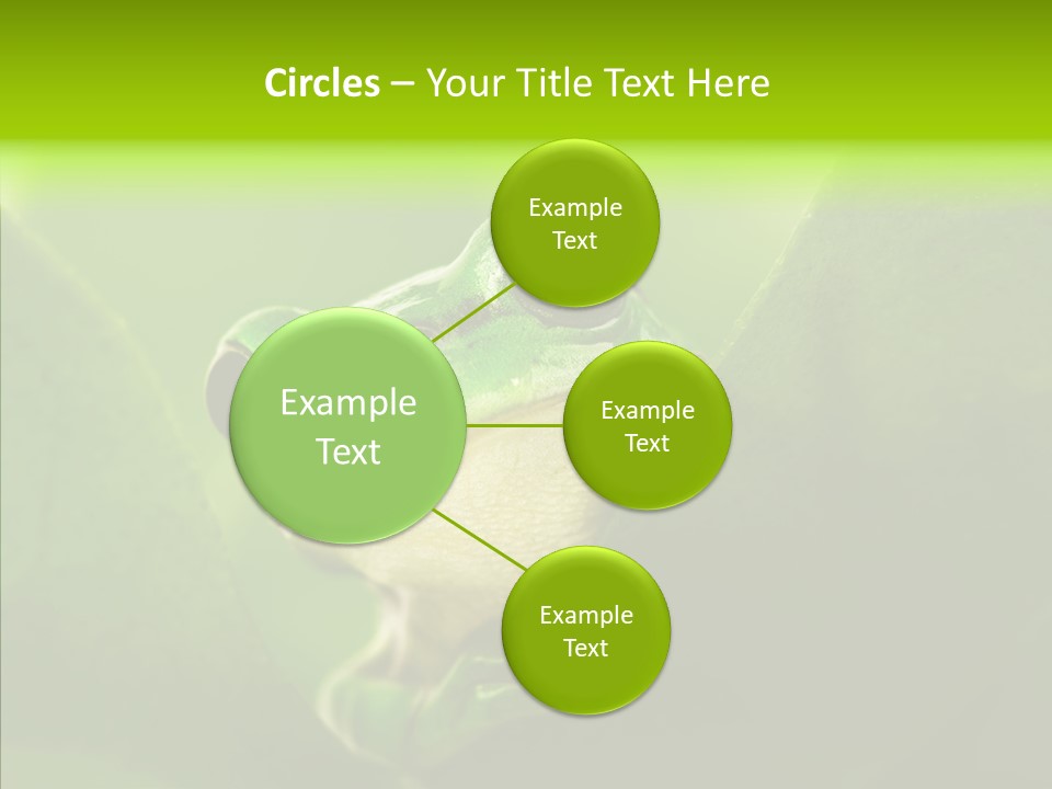 Boyfriend Toad Peeking PowerPoint Template