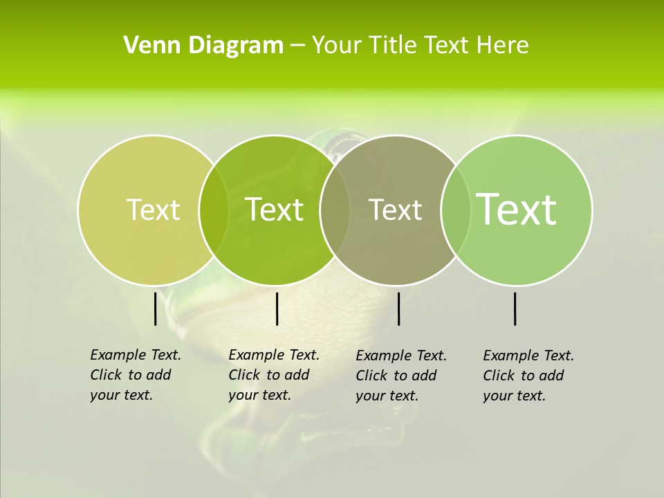 Boyfriend Toad Peeking PowerPoint Template