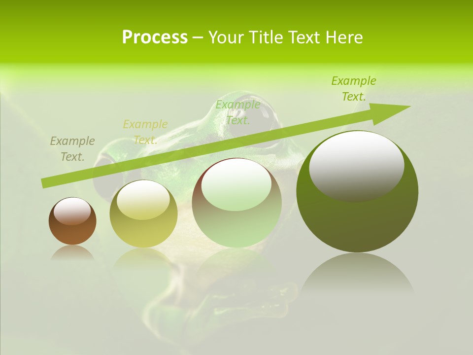 Boyfriend Toad Peeking PowerPoint Template