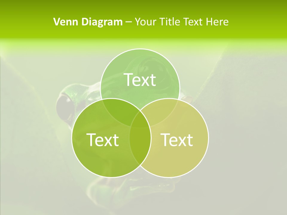 Boyfriend Toad Peeking PowerPoint Template