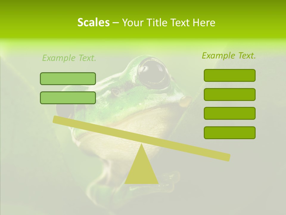 Boyfriend Toad Peeking PowerPoint Template