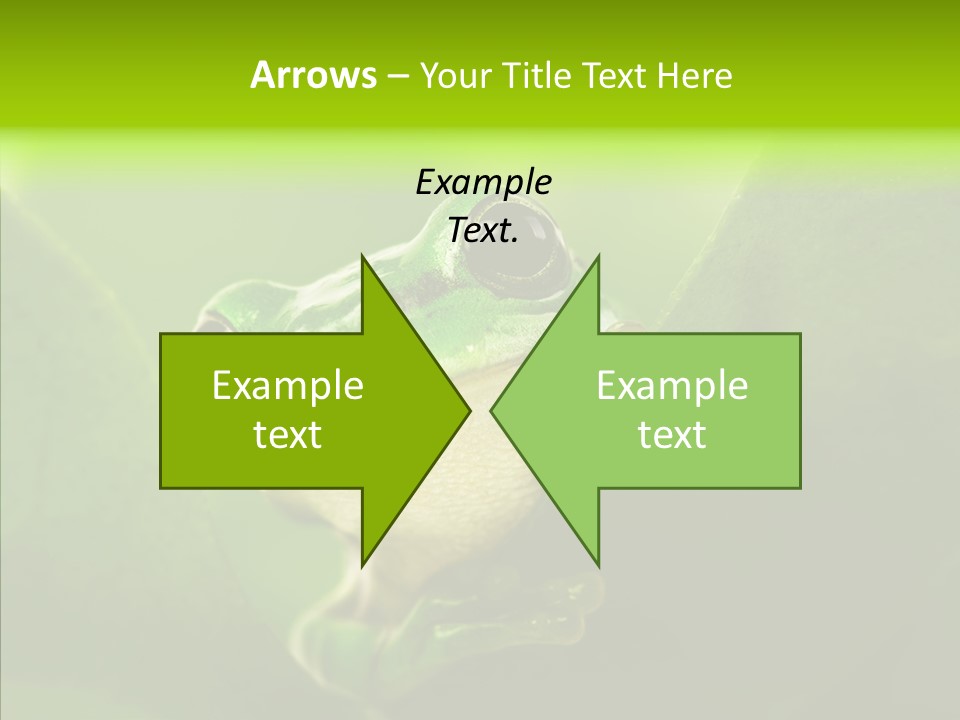 Boyfriend Toad Peeking PowerPoint Template