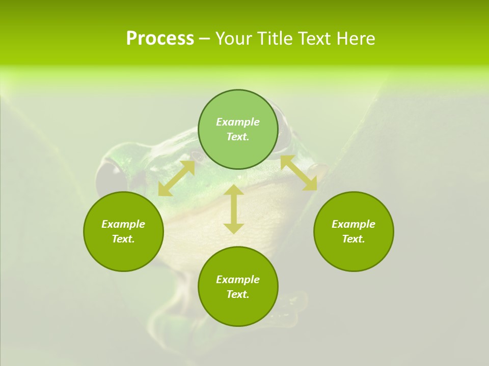 Boyfriend Toad Peeking PowerPoint Template