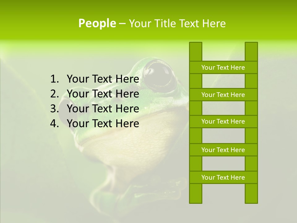 Boyfriend Toad Peeking PowerPoint Template