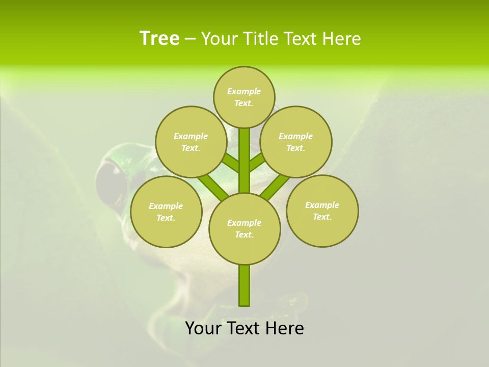 Boyfriend Toad Peeking PowerPoint Template