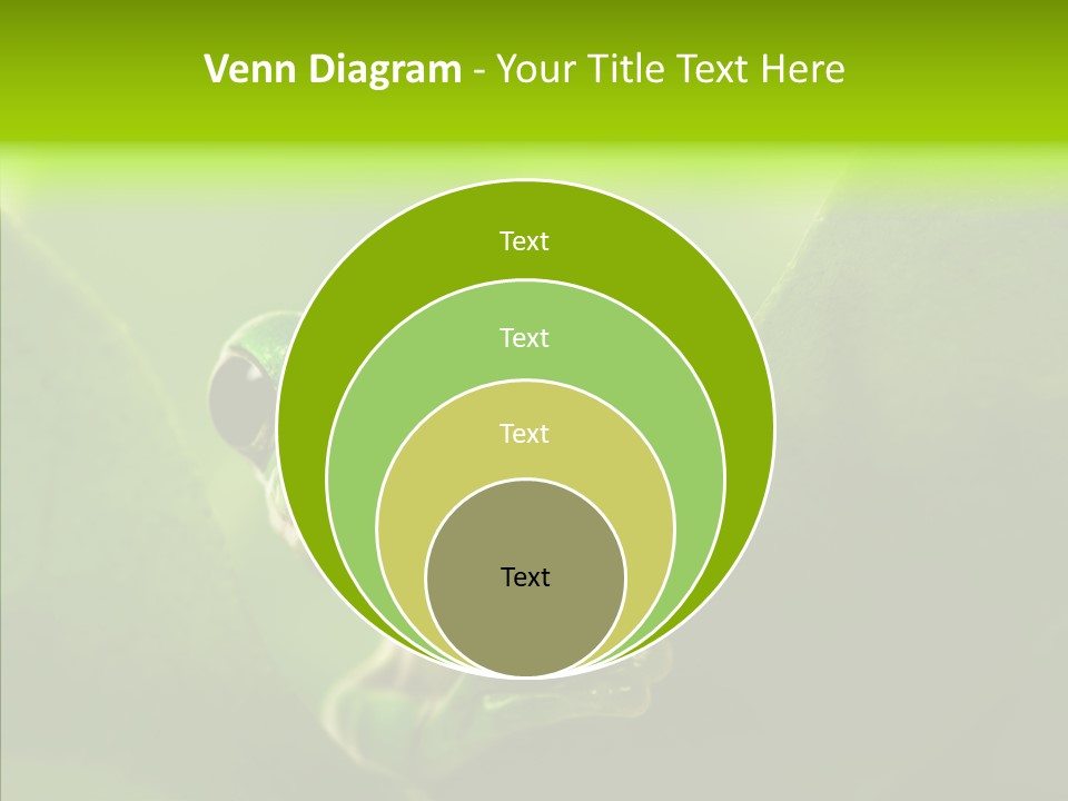 Boyfriend Toad Peeking PowerPoint Template