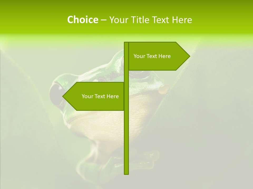 Boyfriend Toad Peeking PowerPoint Template