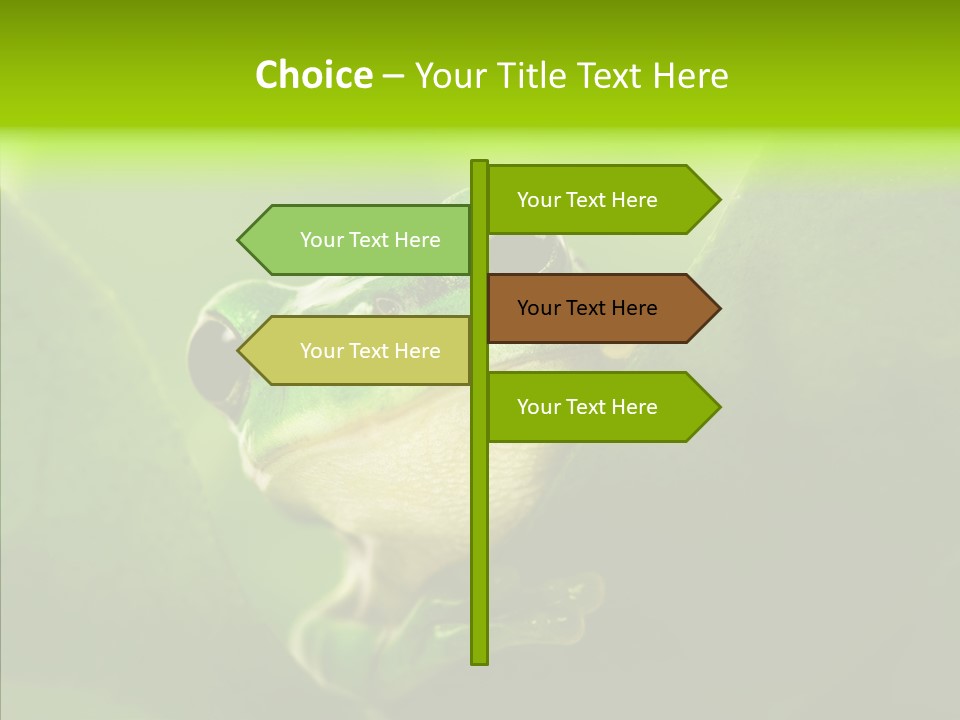 Boyfriend Toad Peeking PowerPoint Template