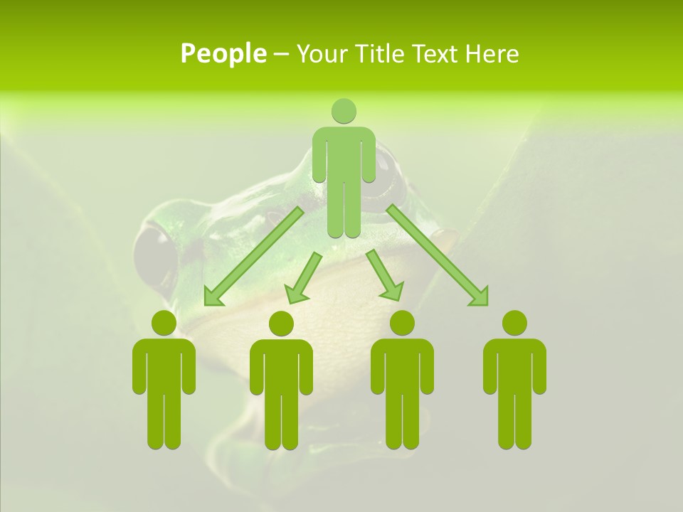 Boyfriend Toad Peeking PowerPoint Template