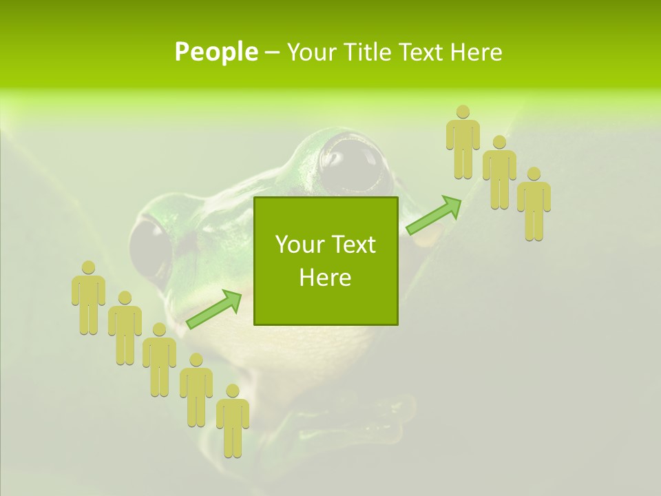 Boyfriend Toad Peeking PowerPoint Template