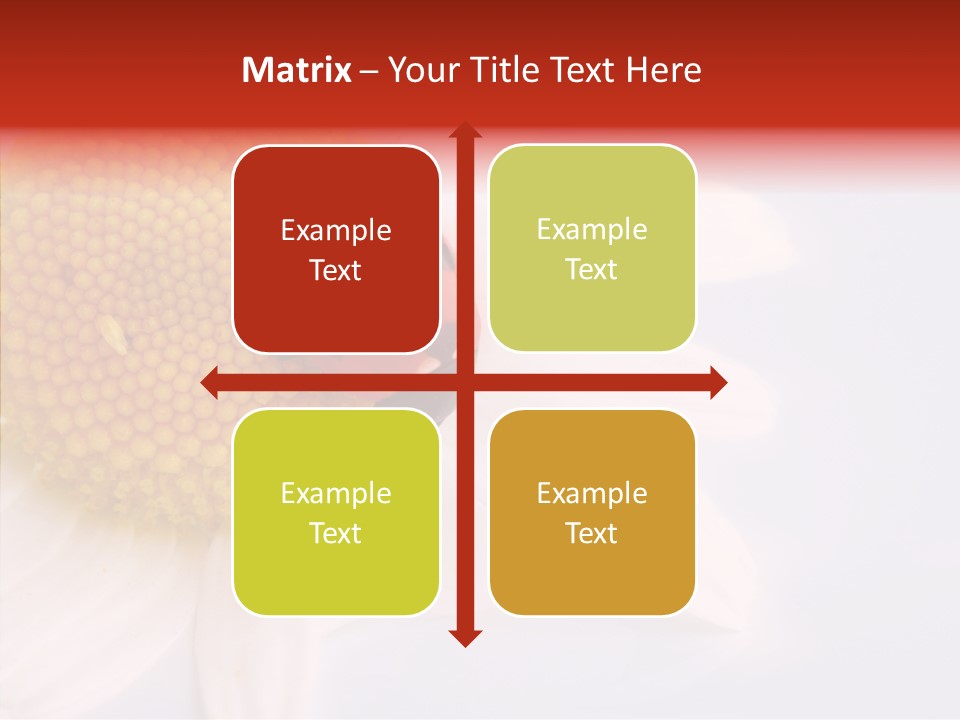 Daisy Red Zoology PowerPoint Template