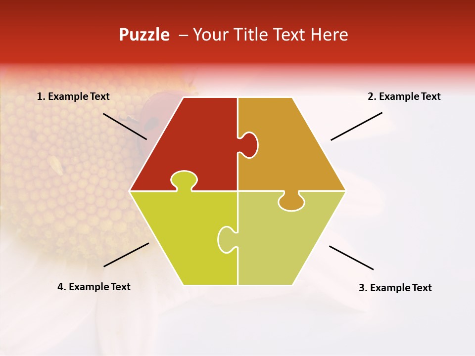 Daisy Red Zoology PowerPoint Template