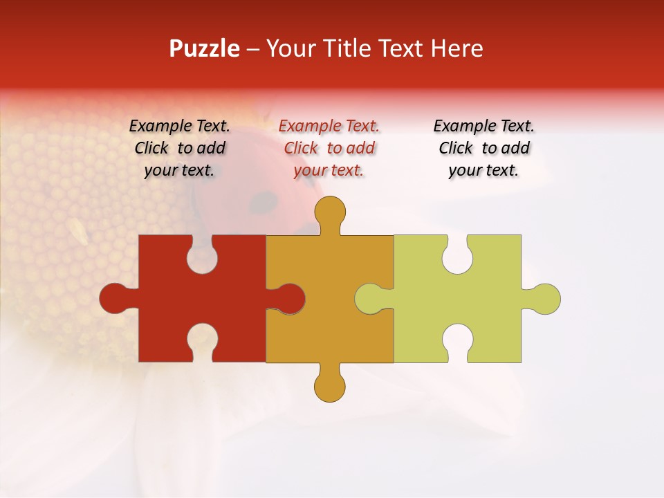 Daisy Red Zoology PowerPoint Template