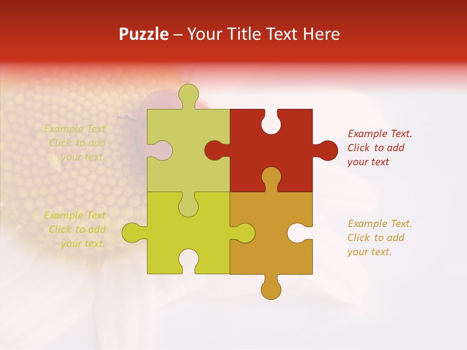 Daisy Red Zoology PowerPoint Template